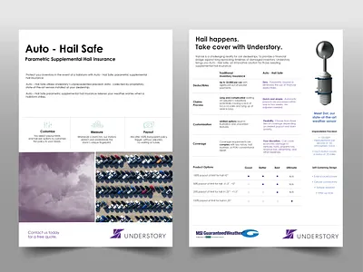 Sell Sheet branding corporate branding design flyer design mockup