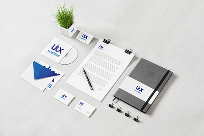 Branding animation branding design icon illustration logo typography ui ux vector