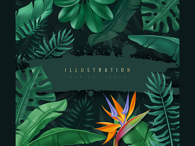 Tropical leaves colors dark flowers illustration leaves travel tropical vector