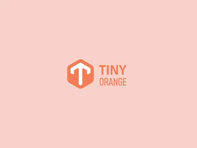 Tiny Orange brand identity branding branding design golden ratio logo logo design logodesign logos rebranding visual identity