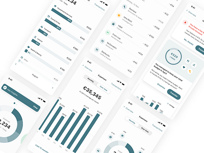 Tink SDK app design customization expenses finance fintech ios product design sdk