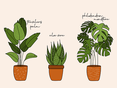 Home Plants art artwork drawings green home decor house plants illustration plant illustration plants pots