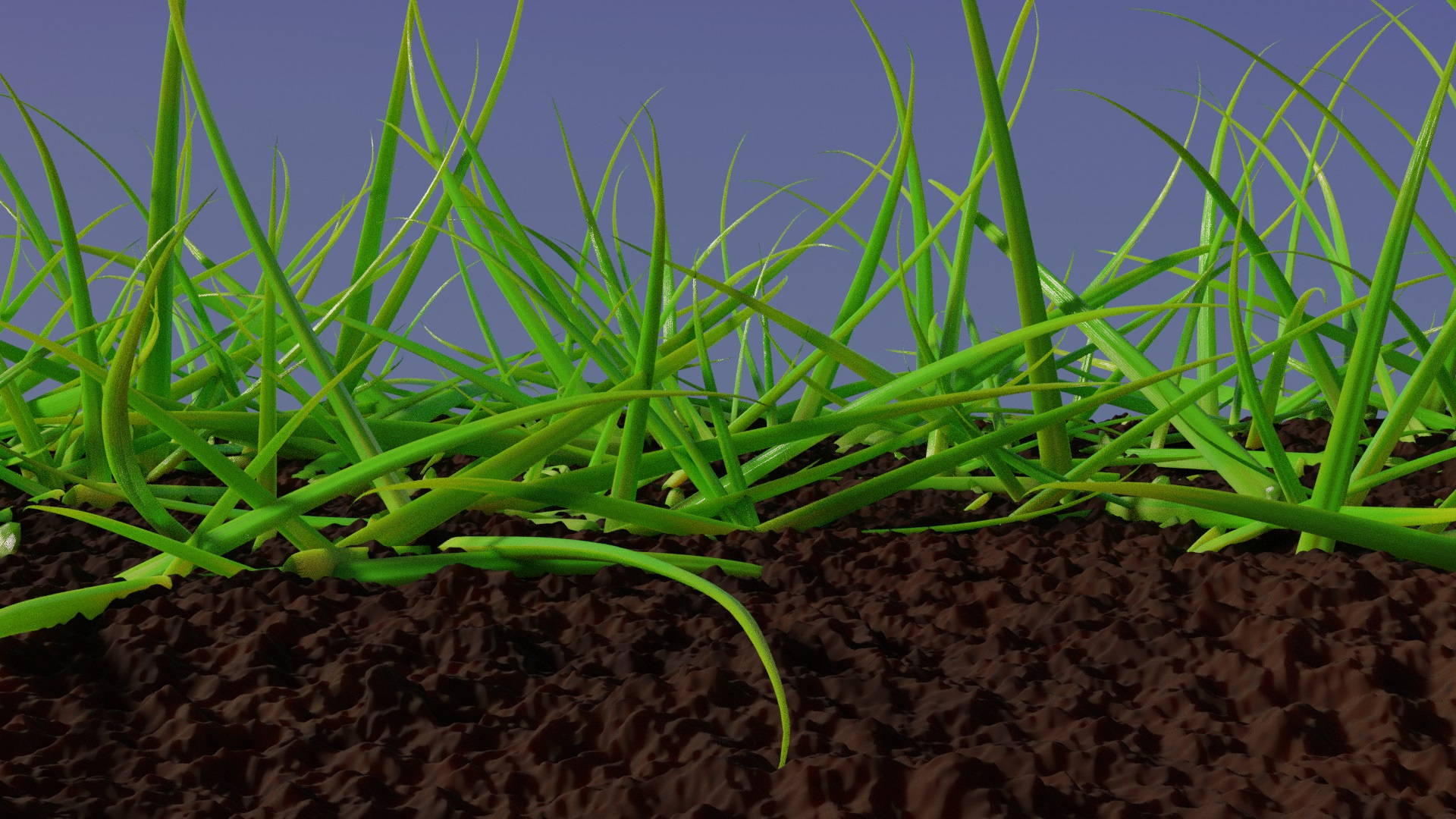 3d rendered grass blender grass practice render