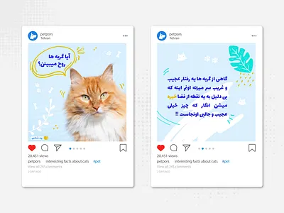 Instagram Posts advertising animals avatar branding cat ecommerce fabistudio.com fatemeh.a fatemehalibakhshi identity design influencer instagram instagram banner instagram post instagram stories pet pet care pet shop socialmedia ui