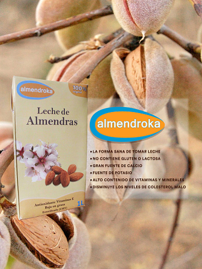 Diseño de marca y Tetrapack para leche de Almendras empaque marca