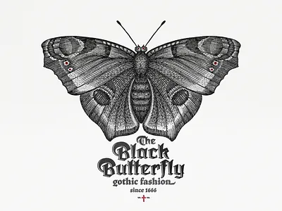 Black Butterfly ... brand butterfly gothic illustration label typo typogaphy vector art vector illustration