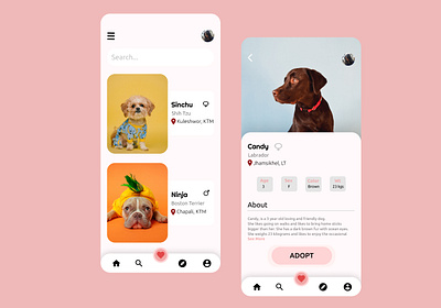 Dog Adoption App design flat mobile app ui ux