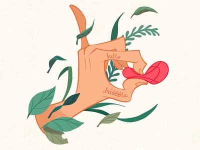 Hello, dribbble! cartoon design dribbble fern first shot firstshot floral hand hello hello dribbble illustration leaves nature