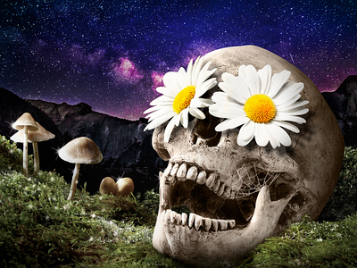 Enjoy the Show compositing photoshop photoshop art psychadelic retouching skeleton skull