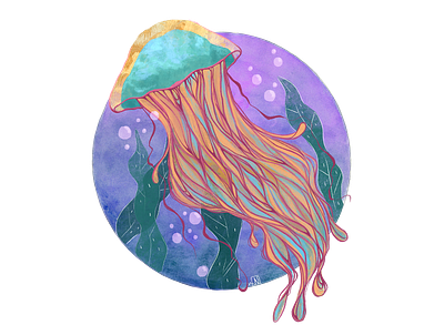 Jellyfish design drawing graphic design graphic art illustration art illustrations illustrator jellyfish