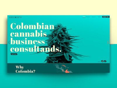 GREEN NORTH - Colombian cannabis business branding cannabis design flat fullcolor greennorth minimal responsive ui ui design ux web website weed weedpage xav