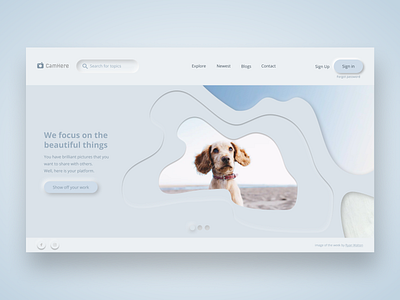 Neumorphism Web UI blue design dog grey header landingpages neumorphism photo soft ui soft ui design ui uidesign uxdesign