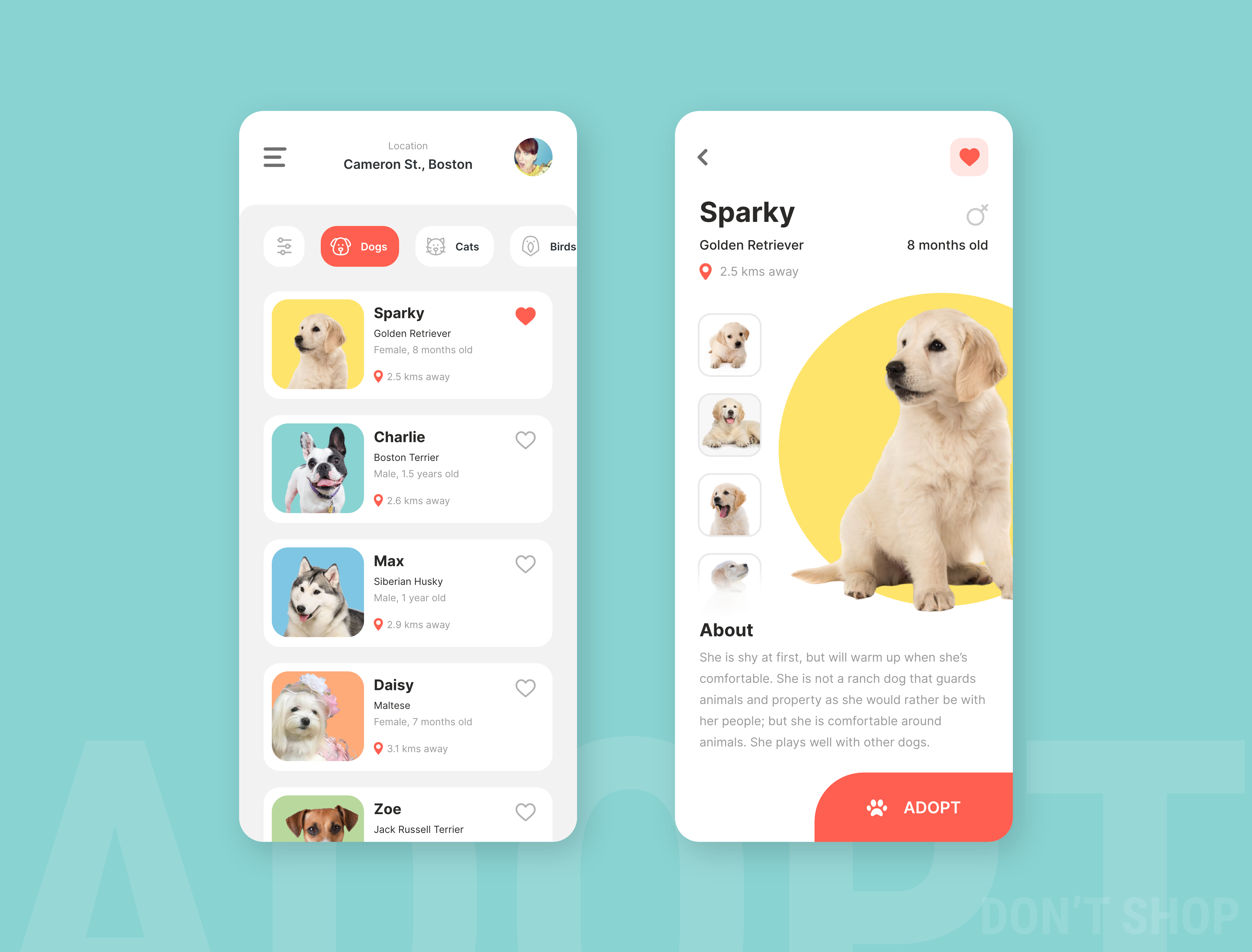 Pet Adoption App By Anurag Satpathy On Dribbble