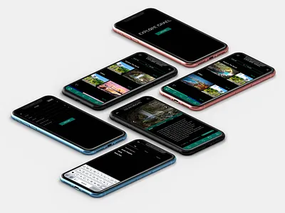Explore Israel app branding design explore graphic illustration israel logo travel typography ui ux