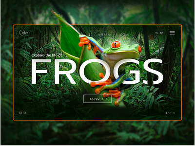 Frogs. Main screen design figma photoshop ui web