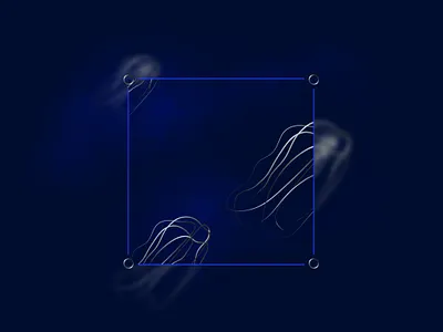 LUCENT branding finance hightech identity jellyfish