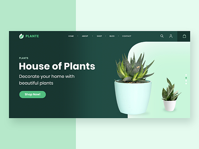 Plante website design adobe illustrator adobexd app design clean design dribbble follow graphic design icons illustration like meditation minimalism nature new post plants soft colors ui design ui designer uiux user interface