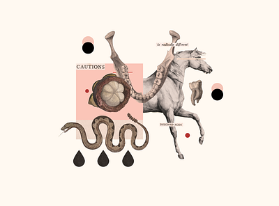 310 collage illustration