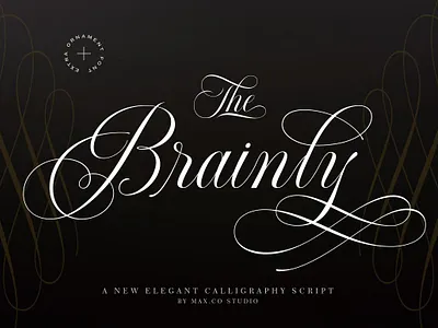 Brainly Script brainly calligraphy card certificate elegant elegant calligraphy elegant font elegant script extra fashion fonts handlettering invite logo logotype menus ornament penmanship script wedding