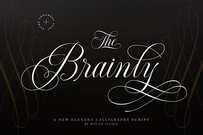 Brainly Script brainly calligraphy card certificate elegant elegant calligraphy elegant font elegant script extra fashion fonts handlettering invite logo logotype menus ornament penmanship script wedding