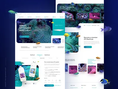 Aquarium shop aquarium blur colors coral coral reef corals ecommerce fish gradient reef ui website