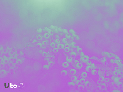 Utopyc branding