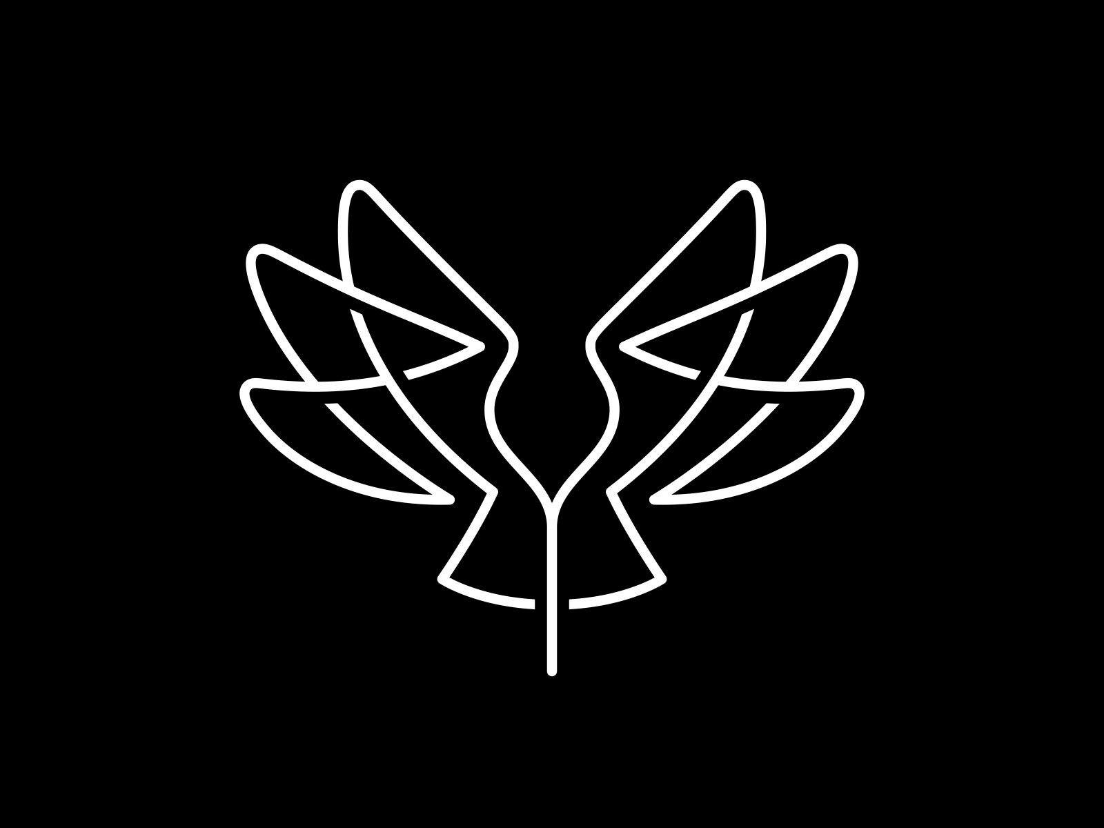 Example of Hummingbird