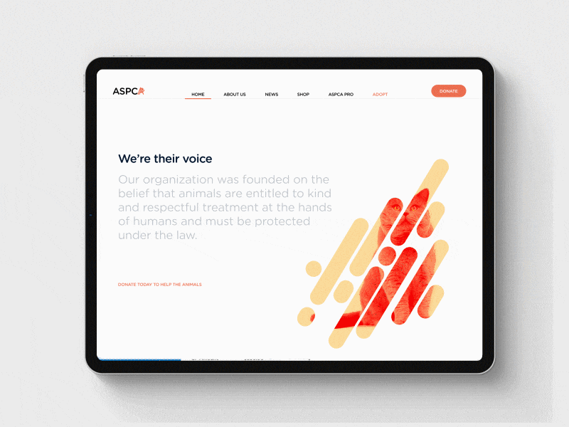 ASPCA - Web Design Concept brand identity branding design packaging ui ui design uidesign ux uxui web web design webdesign website website design