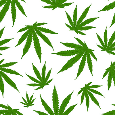 Cannabis leaves pattern background. Marijuana vector seamless pa art autumn background botanical botany cannabis decorative design drug drugs floral flourish flower grass green hashish health hemp herb illegal