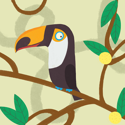 Toucan childrens book illustration kidlitart toucan