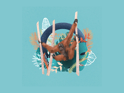 36 Days of Type Letter O 36 days of type 36daysoftype animal art animals animals illustrated blue bright design illustration illustration art illustration style letter o letters monkey orangutan plants texture type wildlife wildlife illustration