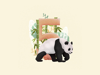 36 Days of Type Number 5 36 days of type 36daysoftype 5 animal bear china colour palette design illustration letters nature art nature illustration number 5 panda panda bear plant type type art wildlife wildlife illustration