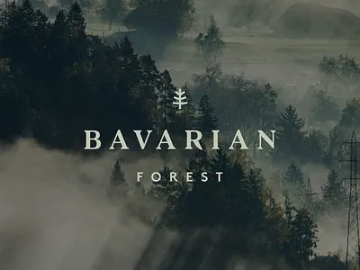 Bavarian Forest brand brand design brand identity branding branding design identity identity branding identity design identity designer identitydesign logo logo design logodesign logos logotype