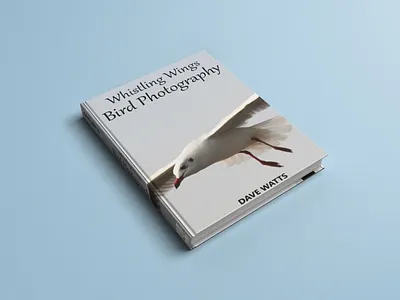 Book Cover design book cover design graphic design photography publication design