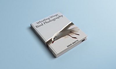 Book Cover design book cover design graphic design photography publication design