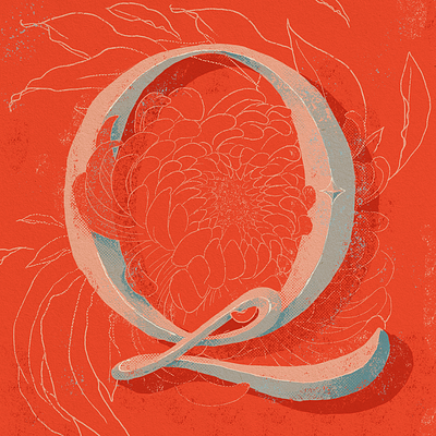 Q flower illustration type