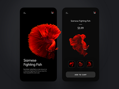 Online fish store app design clean ui dark dark mode fish fish store interface design mobile app online shop online store product page shopping app trending ui uiux design visual design