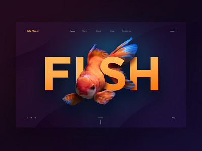 Gold Planet design fish gold gradient ui ux web web design website website design