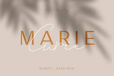 Marie Curie - Sans & Script branding design elegant fonts font design font duo fonts collection lettering logo logo fonts modern fonts sans sans font sans serif sans serif font script script font serif font serif fonts type typeface
