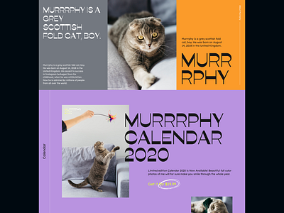 Instagram Cat Website Part 2 big type blogger cat colorful design instagram merch typography ui ux web website