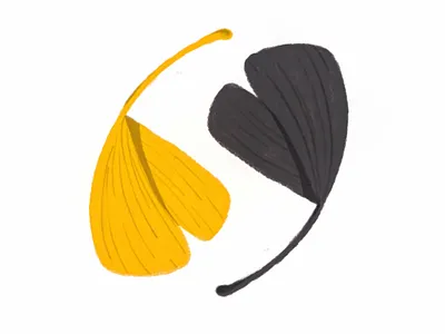 Together, we're stronger blacklivesmatter gingko illustration