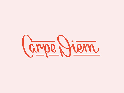 Carpe Diem Brazilian Jiu Jitsu brushlettering calligraphy handlettering lettering logo logotype type typography wordmark