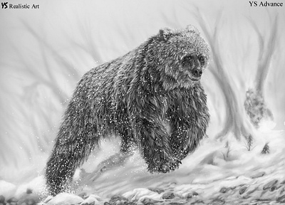 The wanderer bear art drawing drawing tutorial how to draw illustration painting realistic drawing