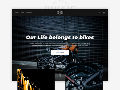 Bikes branding design flat typography ui ux web website website design