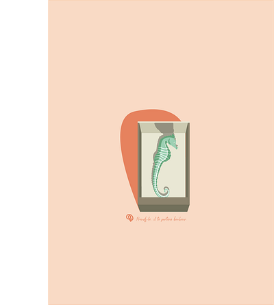 L'hippocampe dans la boite d'allumettes. animal design flat design flat illustration grandma grigri hippocampe illustration luck nostalgia ocean sea