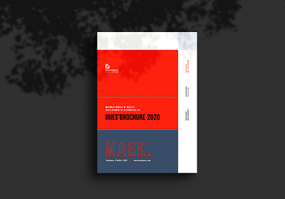 Irie's Brochure 2020 annual report annual report brochure bifold brochure booklet brand brochure business corporate elite standard indesign layout