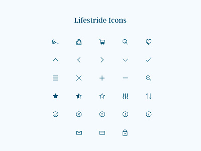 Lifestride Icons brand design branding design language icon set iconography illustration ui