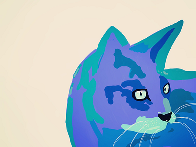 Kitty Cat adobe cat drawing paint