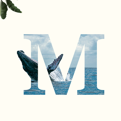 Mexico digitalart sea