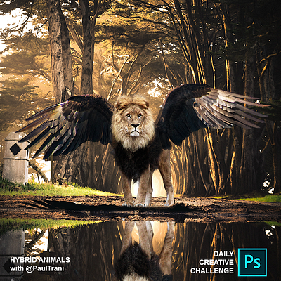 Hybrid Animals adobe photoshop animal design eagle hybrid lion reflection